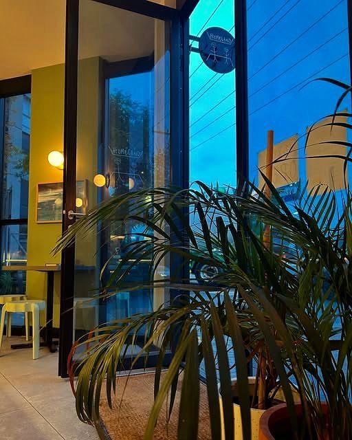 Inside Homeland Cafe with plants and big corner windows